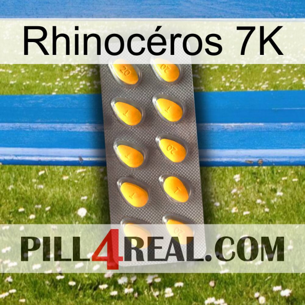 Rhinocéros 7K cialis1.jpg